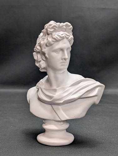 Classical apollo bust white - bust,