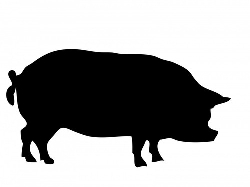 Vinyl pig decal - sticker, multi