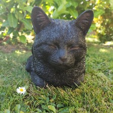 Vivid Arts Realistic Dreaming