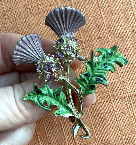 Vintage scottish thistle - scottish,