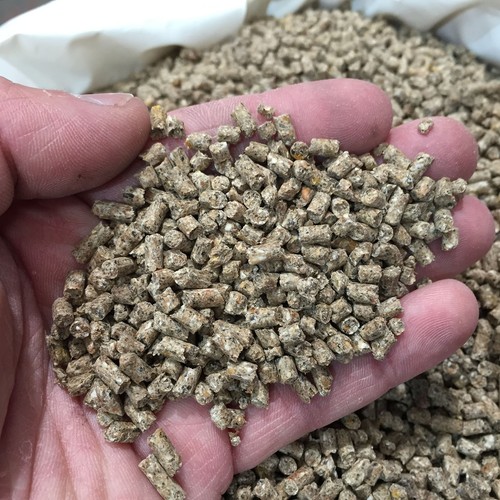 20kg chicken layers - chicken, pellets