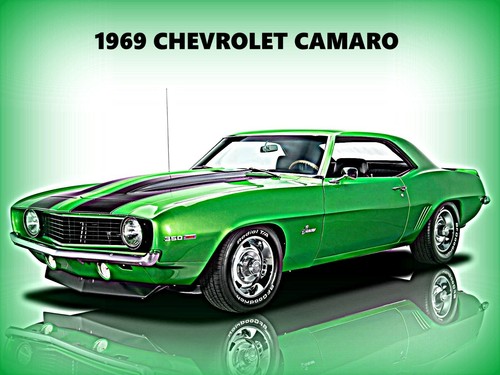 1969 chevrolet camaro - 1969, new