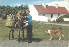 Vintage ireland postcard irish - postcard,