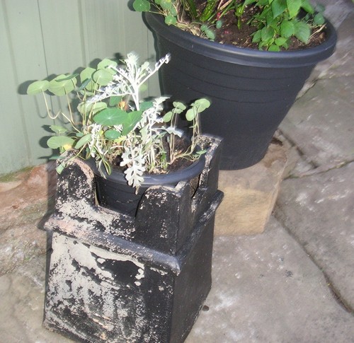 Cute victorian reclaimed - cute,
