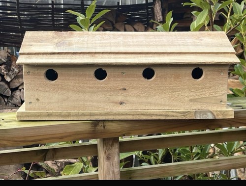 Sparrow nest bird box wooden - nest,