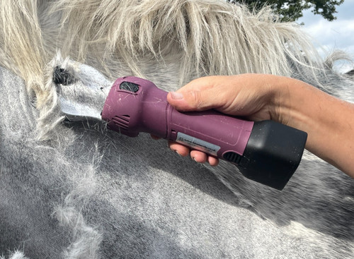 Cordless battery horse - cordless,