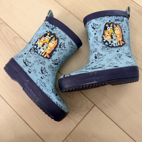 Bluey toddler kids - bluey, rain