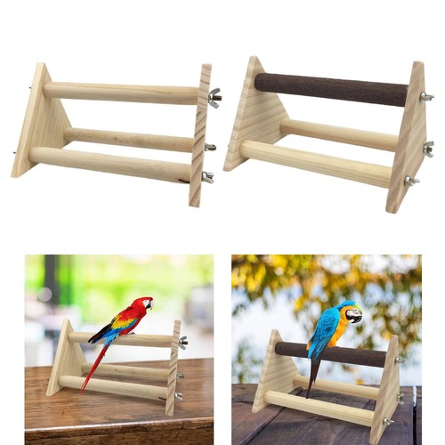 Parrot play wood - play,
