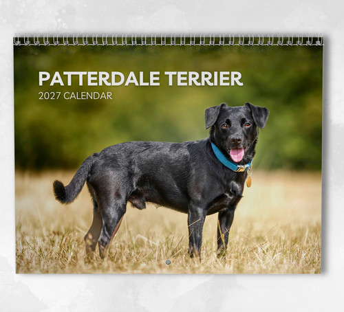 Patterdale terrier calendar - terrier,