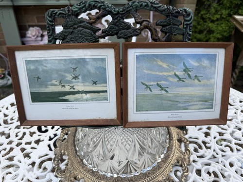 Peter scott prints mallards - peter,