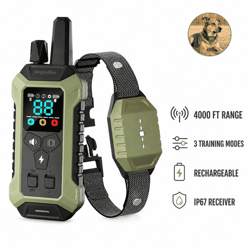 Dog training collar with - training,
