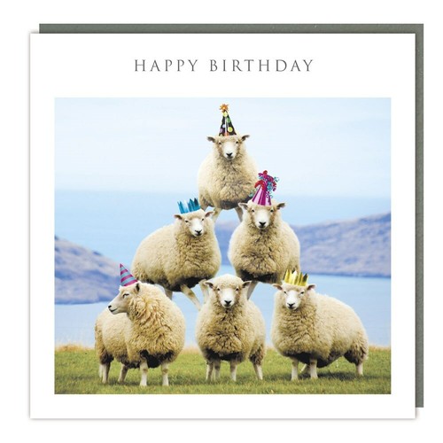 Funny sheep pyramid happy - pyramid,