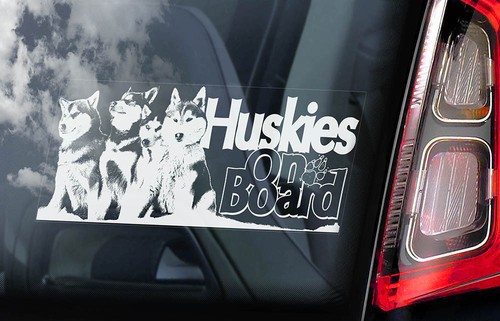 Huskies car sticker - huskies,