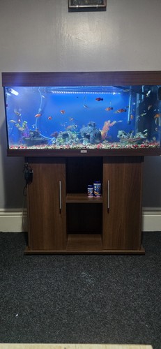 Juwel rio 180 led aquarium - 180,
