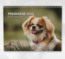 Pekingese Dog Calendar 2026: Monthly Wall Calendar with Notes, opens to A3 Size