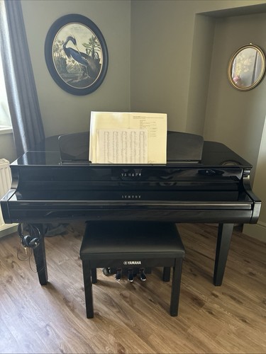 Yamaha clp765 baby - yamaha, gp