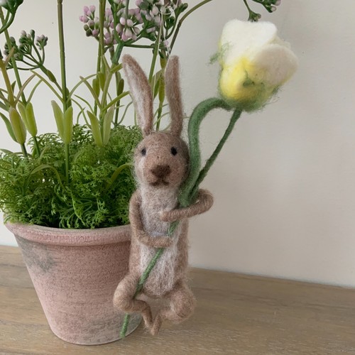 Brown wool bunny - wool, white