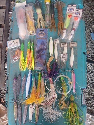 Huge lot shrimp squid - lot,