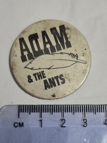 Adam the ants - adam, ant