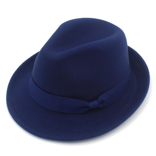 Elegant mens women - fedora, hat