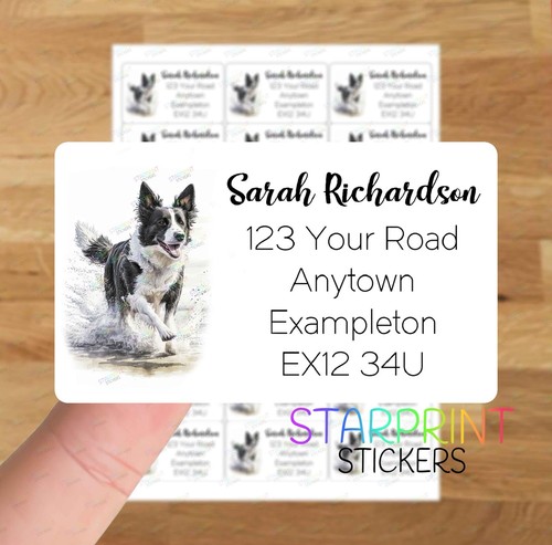 Border collie personalised - border,