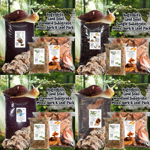 Bugznbits organic land - bugznbits, snail