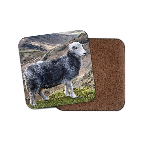 Beautiful herdwick sheep - beautiful,