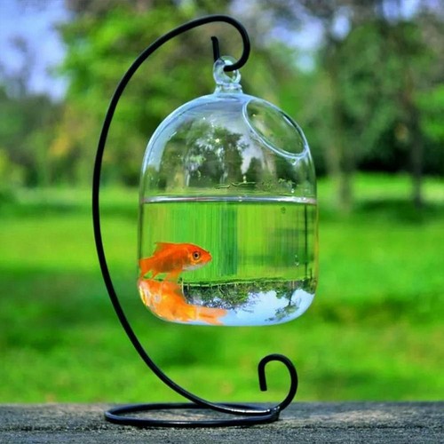 Aquarium decoration fish bowl - fish,