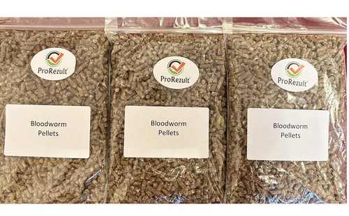 Bloodworm fish food pellets - bloodworm,