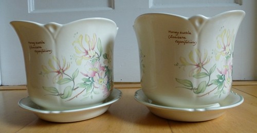 Honey suckle ceramic - honey,
