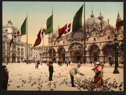 Feeding pigeons marks - pigeons, st