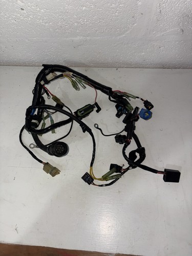 Engine wiring harness - engine, 30hp
