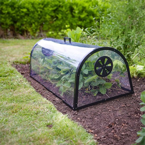 Haxnicks kitchen garden cloche - haxnicks,