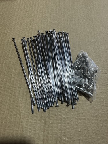 Etz 250 251 spokes - etz,
