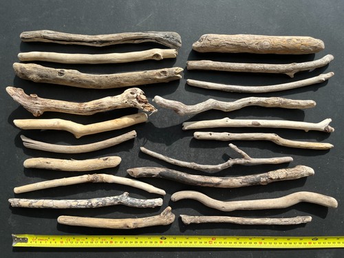 Cornish driftwood pieces - driftwood,