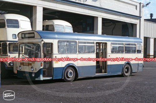 Bus photo darlington - -,