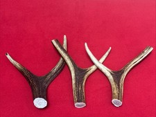 3 PIECES OF DEER ANTLERS, Y