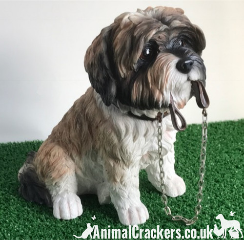 Brown shih tzu - shih, ornament