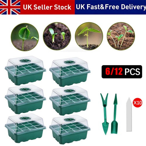 Holes seed starter - 12,
