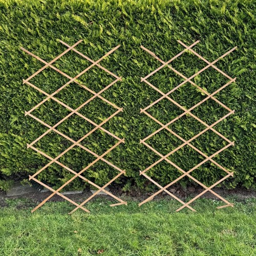 Set expanding wooden - 2,