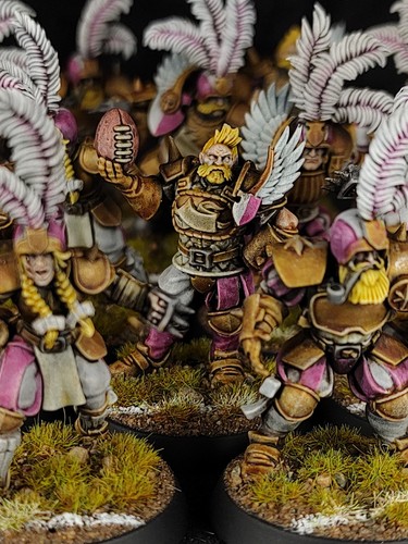 Pro painted blood bowl 12 - pro-painted,, bowl,