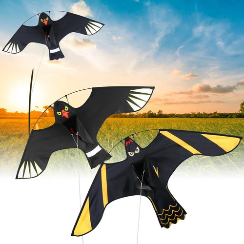 Flying hawk kite garden - flying,