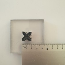 Cutting Press Joseph Dixon