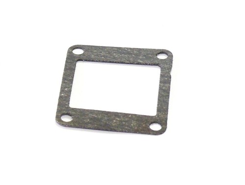 Diaphragm gasket - gasket,