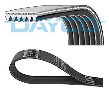Dayco 6pk1013 ribbed belts - dayco, v-ribbed