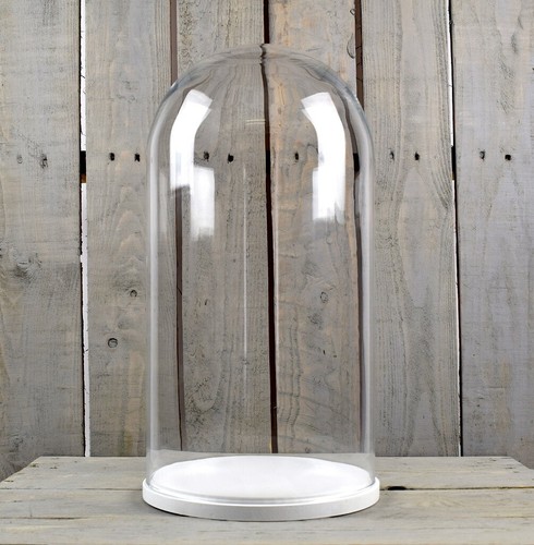 Large glass dome - large, cover