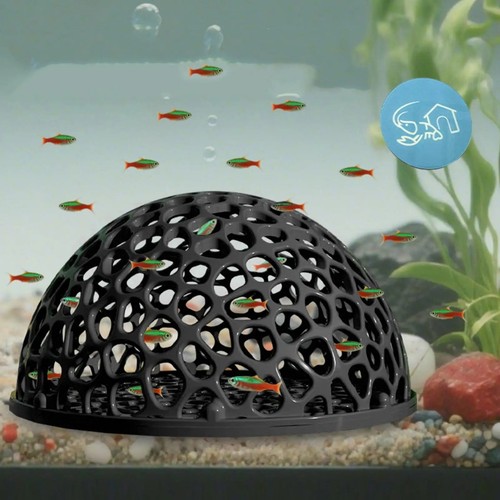 Shrimp breeding cave aquarium - breeding,
