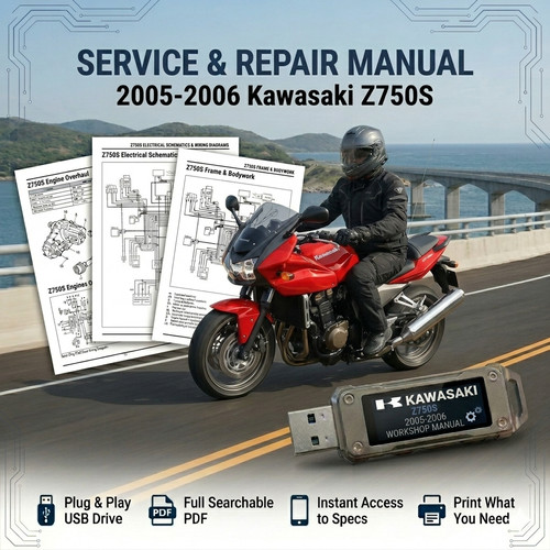 Kawasaki z750s 2005 2006 - 2005,