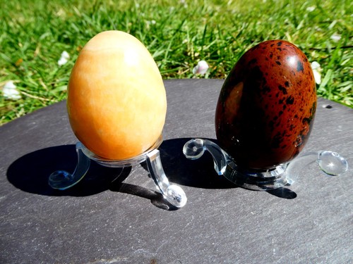 Clear perspex egg display - 10,