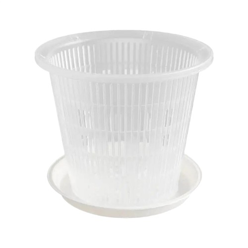 Orchid planter clear - orchid,